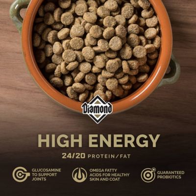 Image showing  High Energy Adult Chicken Formula Dry Dog Food, 50 lb. Bag