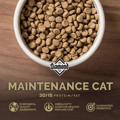 Image showing  Maintenance Adult Indoor/Outdoor Chicken Recipe Dry Cat Food