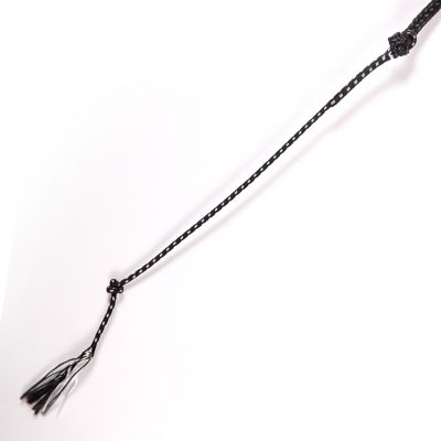 Image showing  Lunge Stock Whip, 66 in.