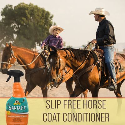 Image showing  Santa Fe Horse Coat Conditioner and Sunscreen Spray Bottle, 32 oz.