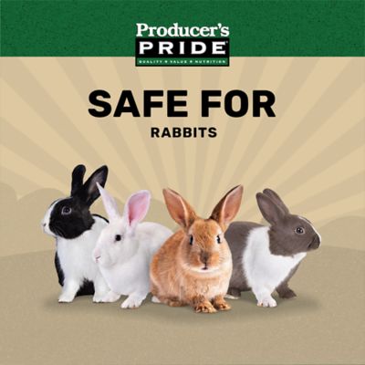 Image showing  15% Pelleted Rabbit Food, 50 lb. Bag