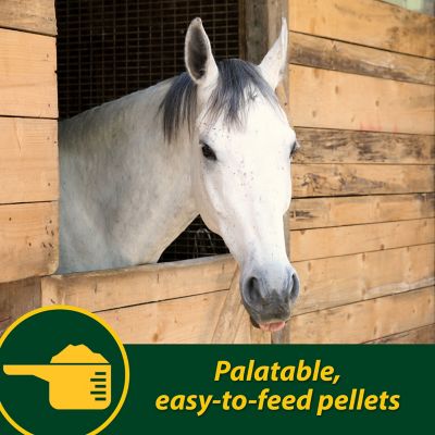 Farnam Horseshoer's Secret Concentrated Pelleted Hoof Supplement- 3.75lb main image 1