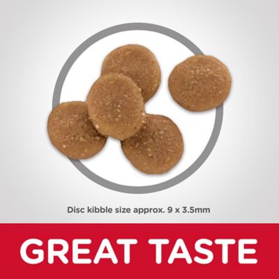 Image showing  Adult Indoor/Outdoor Sensitive Stomach and Skin Chicken and Rice Recipe Dry Cat Food