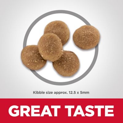 Image showing  Adult Indoor/Outdoor Sensitive Stomach and Skin Chicken and Rice Recipe Dry Cat Food