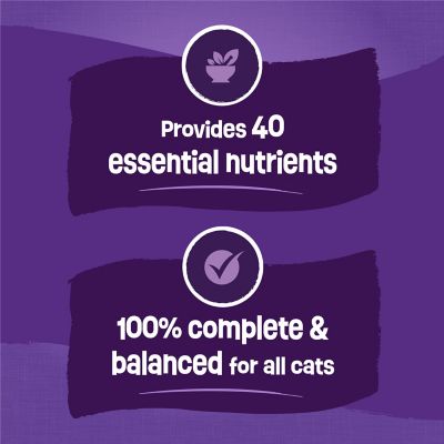 Image showing  Surfin' and Turfin' Adult Chicken, Whitefish, Salmon and Beef Recipe Dry Cat Food