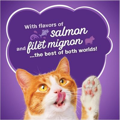 Image showing 9 th Purina Friskies Surfin' and Turfin' Adult Chicken, Whitefish, Salmon and Beef Recipe Dry Cat Food
