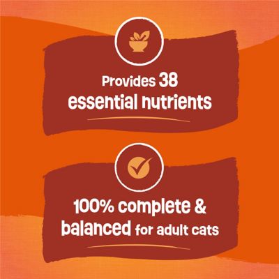 Image showing 7 th Purina Friskies Tender and Crunch'd With Flavors of Chicken, Beef, Carrots and Green Beans