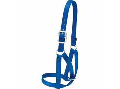 Weaver Livestock Nylon Barn Cow Halter, 1 in., 9-1/2-12-1/2 in. Crown Strap, 6 in. Cheek Piece, 11 in. Noseband, Small