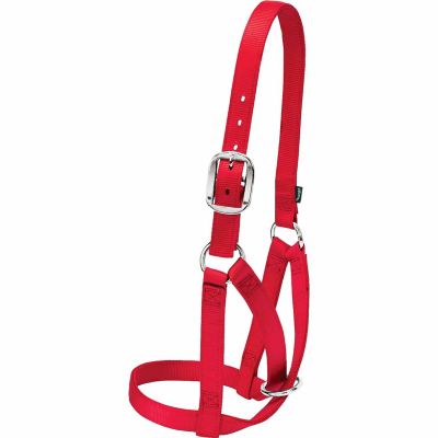 Product color Red