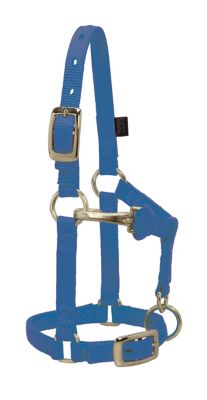 Weaver Leather Miniature Horse Halter with Adjustable Chin and Throat Snap, 5/8 in.