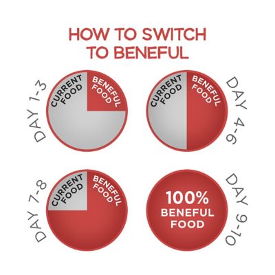 Image showing 9 th Purina Beneful Originals Adult Skin and Coat Support Natural Salmon Formula Dry Dog Food, 28 lb. Bag