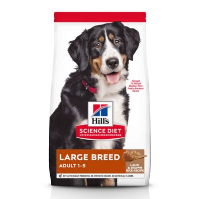 science diet large breed dog food