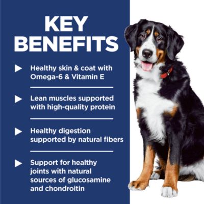 Image showing  Large Breed Adult Lamb and Brown Rice Recipe Dry Dog Food, 33 lb. Bag
