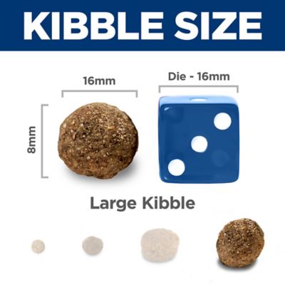 Image showing  Large Breed Adult Lamb and Brown Rice Recipe Dry Dog Food, 33 lb. Bag