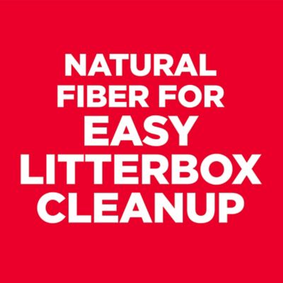 Image showing  Adult Indoor Chicken Recipe Dry Cat Food