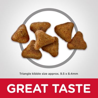 Image showing  Adult Indoor Chicken Recipe Dry Cat Food