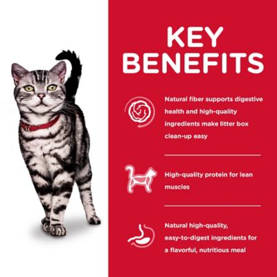 Image showing  Adult Indoor Chicken Recipe Dry Cat Food