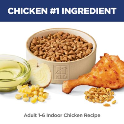 Image showing  Adult Indoor Chicken Recipe Dry Cat Food