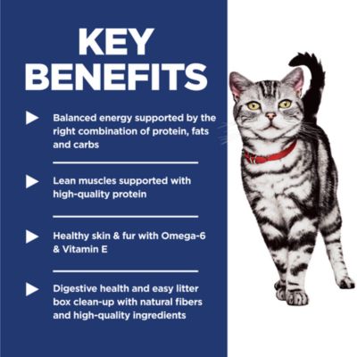 Image showing  Adult Indoor Chicken Recipe Dry Cat Food
