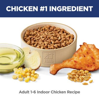 Image showing  Adult Indoor Chicken Recipe Dry Cat Food