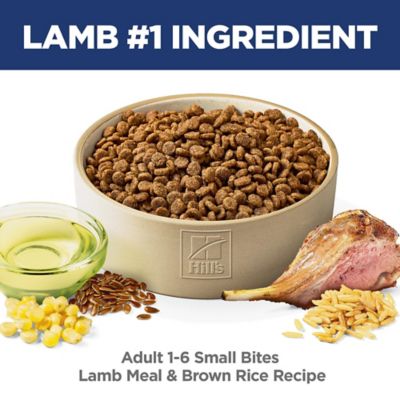 Image showing  Adult Small Bites Lamb and Brown Rice Recipe Dry Dog Food