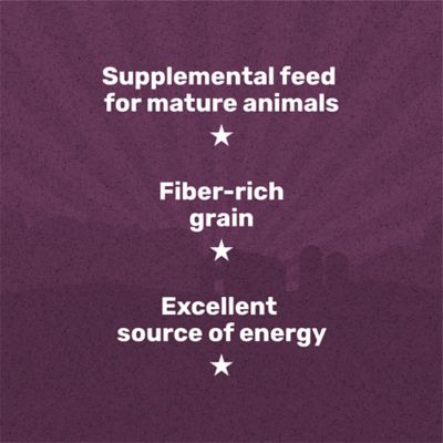 Image showing  Rolled Oats Grains Horse Feed, 50 lb. Bag