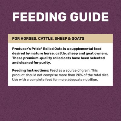 Image showing  Rolled Oats Grains Horse Feed, 50 lb. Bag