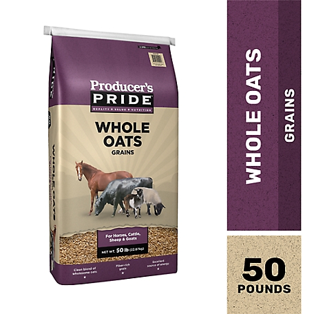 Producer's Pride Whole Oats Horse Feed, 50 lb.