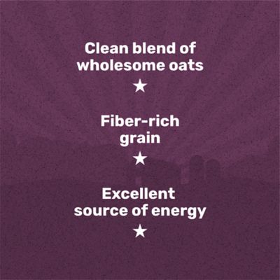 Image showing  Whole Oats Horse Feed, 50 lb. Bag