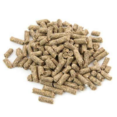 Image showing  Sho-Glo Pelleted Horse Supplement, 5 lb.