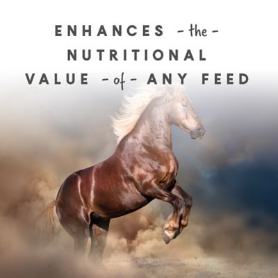 Image showing  Sho-Glo Pelleted Horse Supplement, 5 lb.