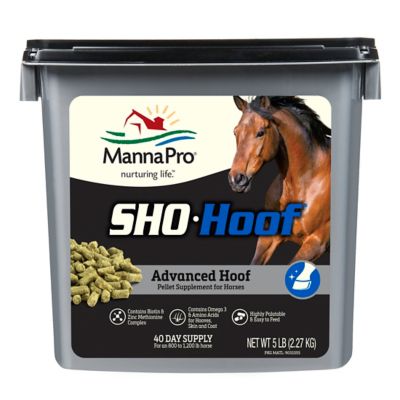 combat boots horse hoof supplement