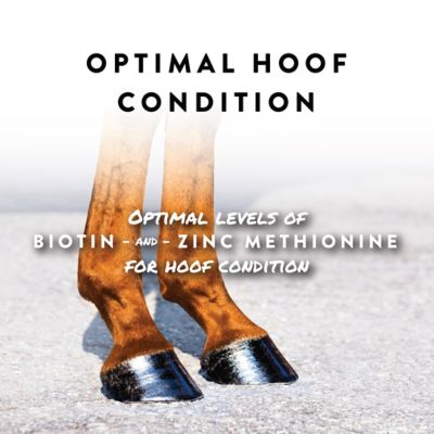 Image showing  Equine Sho-Hoof Hoof Pelleted Horse Supplement, 5 lb.