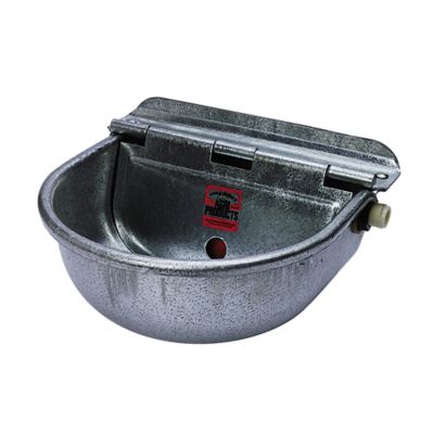 Little Giant 76 oz. Automatic Livestock Waterer
