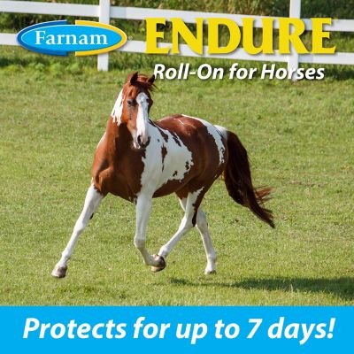Image showing  Endure Roll-On Horse Fly Repellent, 3 oz.