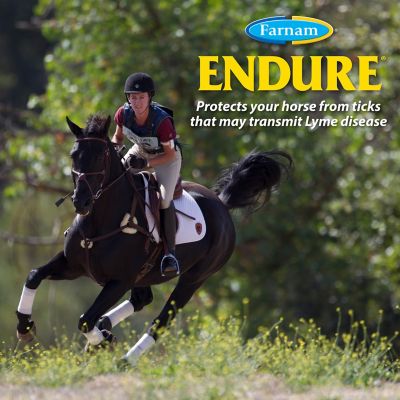 Image showing  Endure Roll-On Horse Fly Repellent, 3 oz.