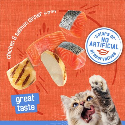 Image showing  Adult Chicken/Salmon Shreds in Gravy Recipe Wet Cat Food, 5.5 oz.