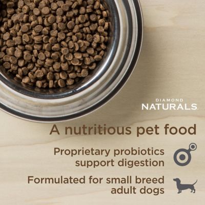Image showing  Small Breed Adult Dog Chicken and Rice Formula Dry Dog Food