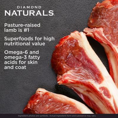 Image showing  Small Breed Adult Dog Lamb & Rice Dry Dog Food