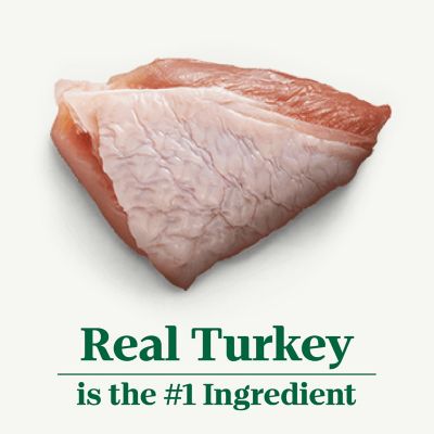 Image showing 6 th Nutro Small Breed Adult Roast Sliced Turkey and Vegetables Stew Wet Dog Food, 3.5 oz. Tray