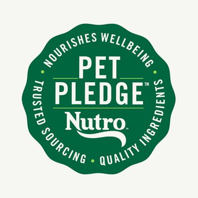 Image showing 7 th Nutro Small Breed Adult Roast Sliced Turkey and Vegetables Stew Wet Dog Food, 3.5 oz. Tray