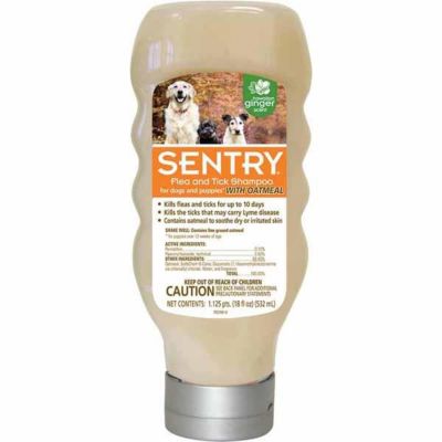 Sentry Oatmeal Flea And Tick Shampoo For Dogs Hawaiian Ginger 18 Oz 1988 At Tractor Supply Co