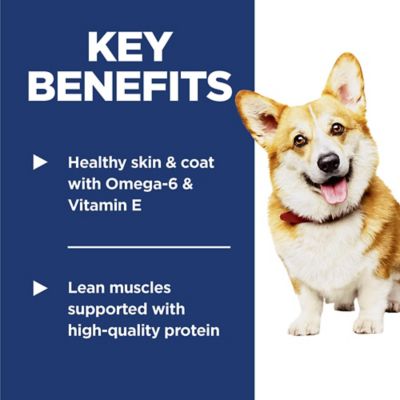 Image showing  Adult Small Bites Lamb and Brown Rice Recipe Dry Dog Food