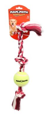 Image showing  Pet Md 20-in Color 3 Knot Tug w 3-in Tennis Ball Dog Toy