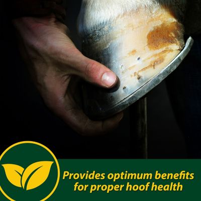 Image showing  Hoof Supplement Pellets