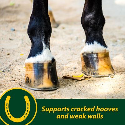 Image showing  Hoof Supplement Pellets