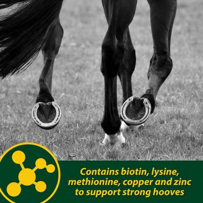 Image showing  Hoof Supplement Pellets