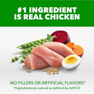 Image showing  ProActive Health Large Breed Adult Real Chicken Recipe Dry Dog Food