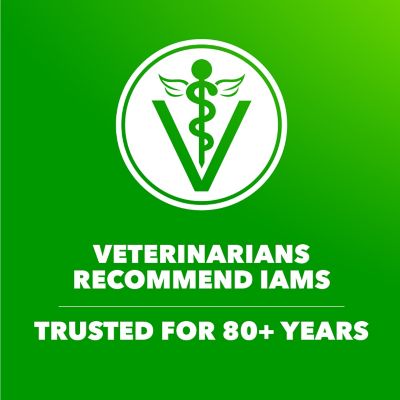 Image showing 6 th Iams ProActive Health Large Breed Adult Real Chicken Recipe Dry Dog Food