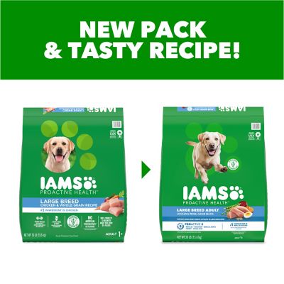 Image showing 7 th Iams ProActive Health Large Breed Adult Real Chicken Recipe Dry Dog Food